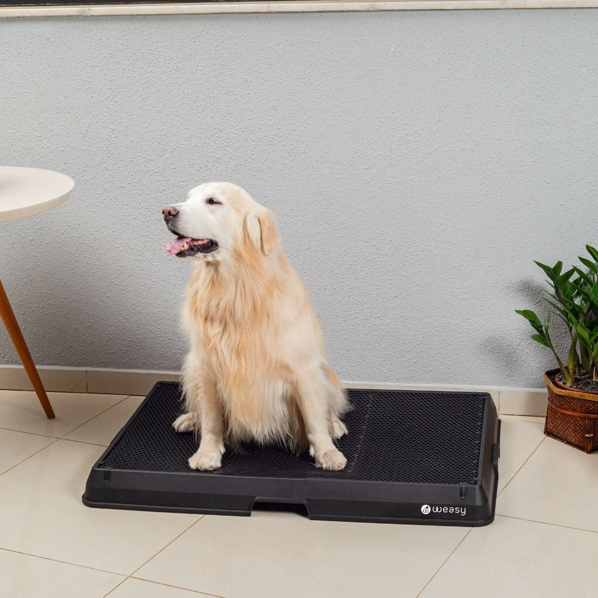 The Smart Potty™ — Indoor Dog Bathroom