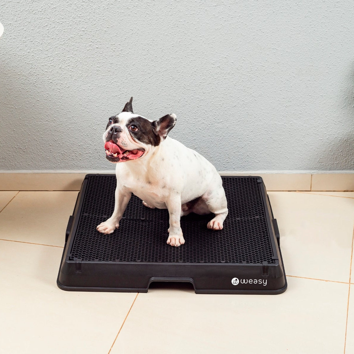 The Smart Potty™ — Indoor Dog Bathroom