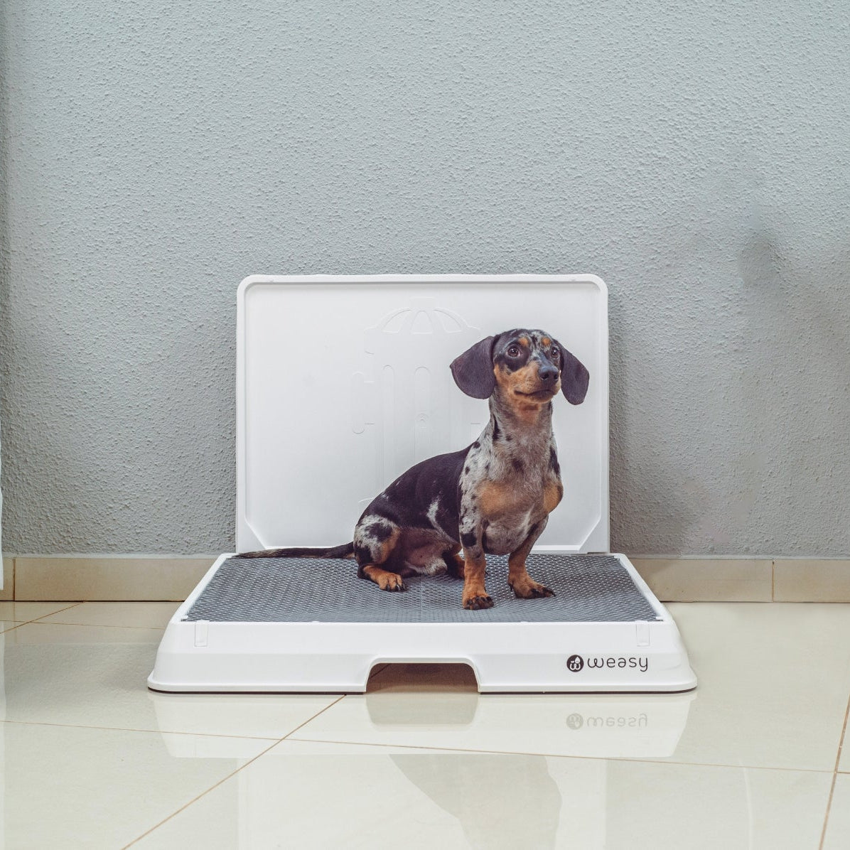 The Smart Potty™ — Indoor Dog Bathroom