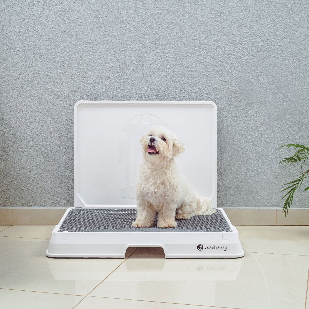 The Smart Potty™ — Indoor Dog Bathroom