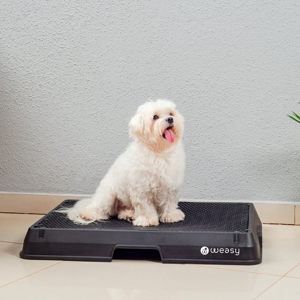 The Smart Potty™ — Indoor Dog Bathroom
