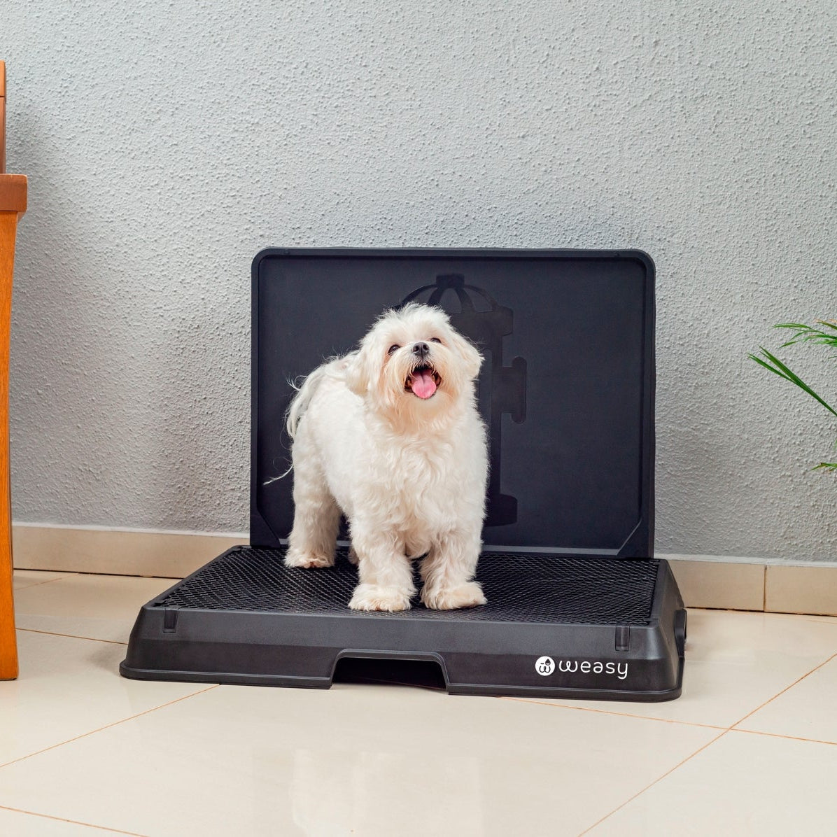 The Smart Potty™ — Indoor Dog Bathroom