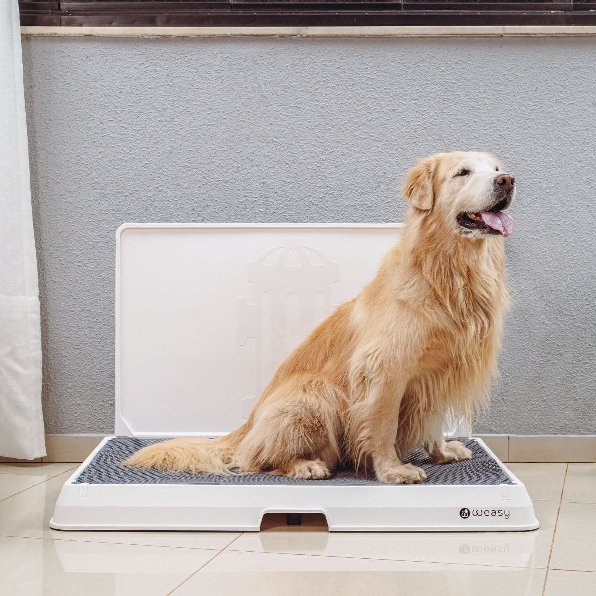 The Smart Potty™ — Indoor Dog Bathroom