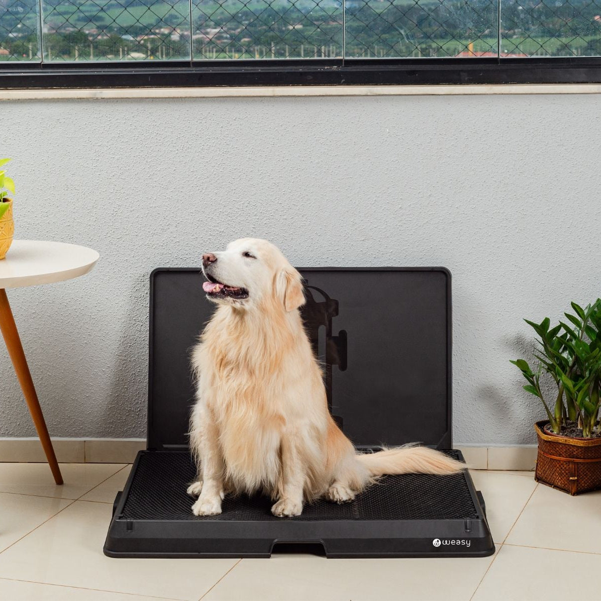 The Smart Potty™ — Indoor Dog Bathroom