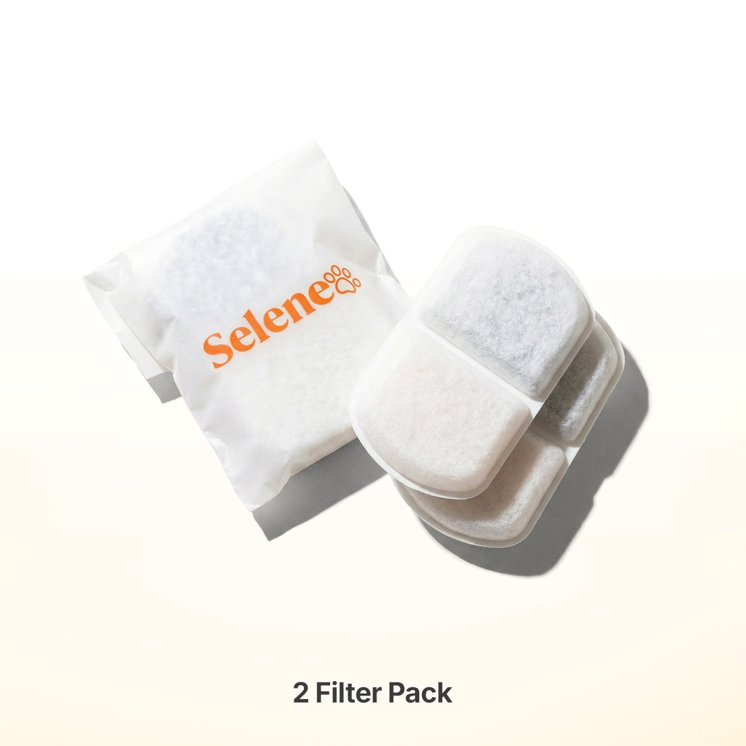2 Replacement Filters