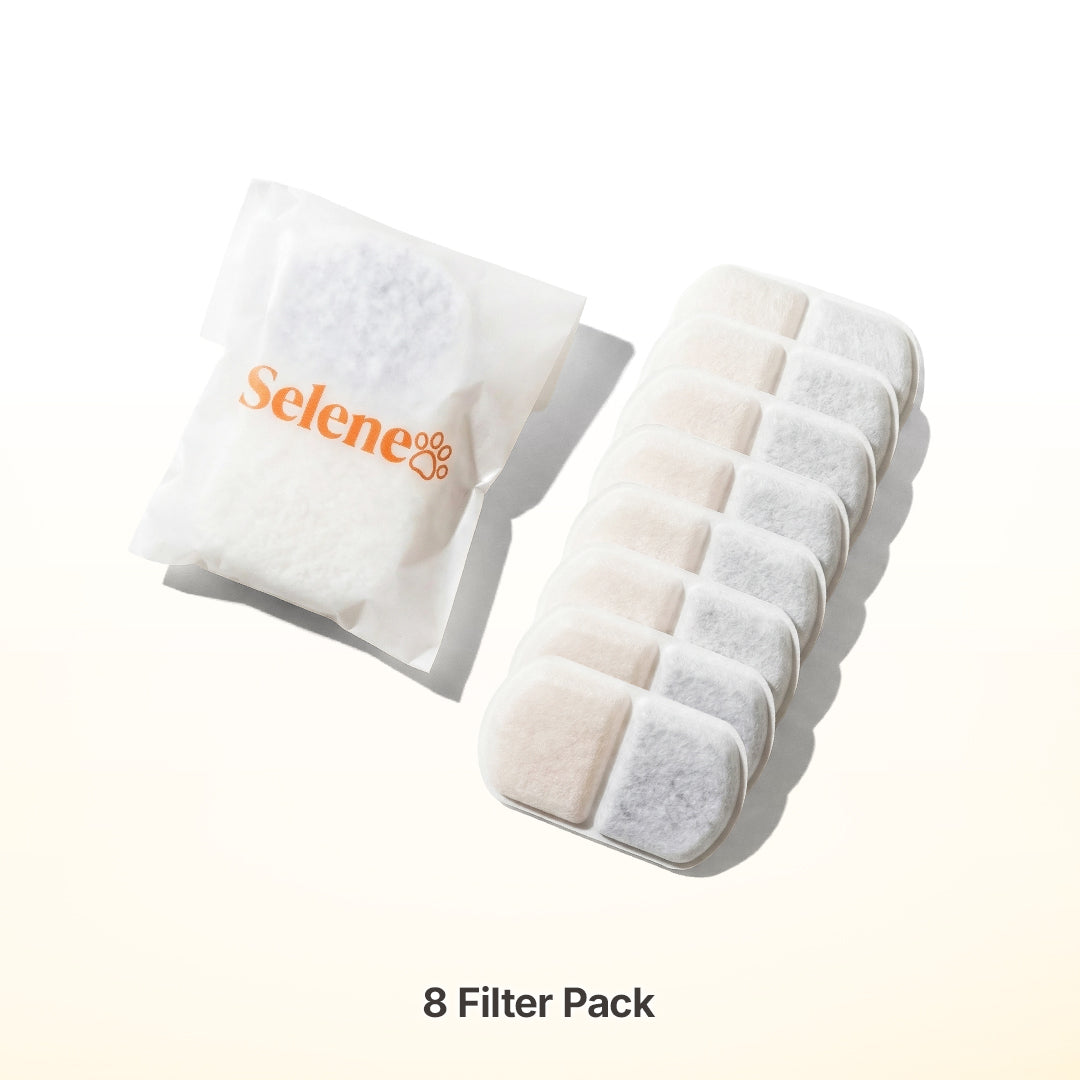 4-Month Supply • 8 Filters