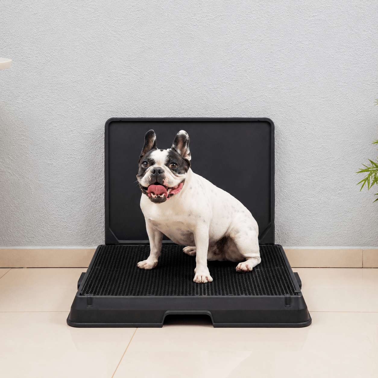 The Smart Potty™ — Indoor Dog Bathroom