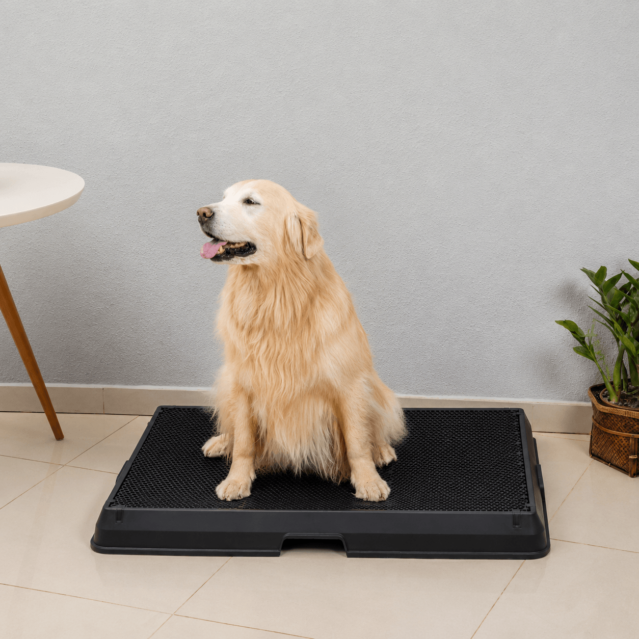 The Smart Potty™ — Indoor Dog Bathroom