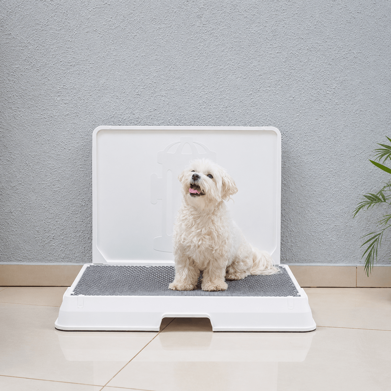 The Smart Potty™ — Indoor Dog Bathroom