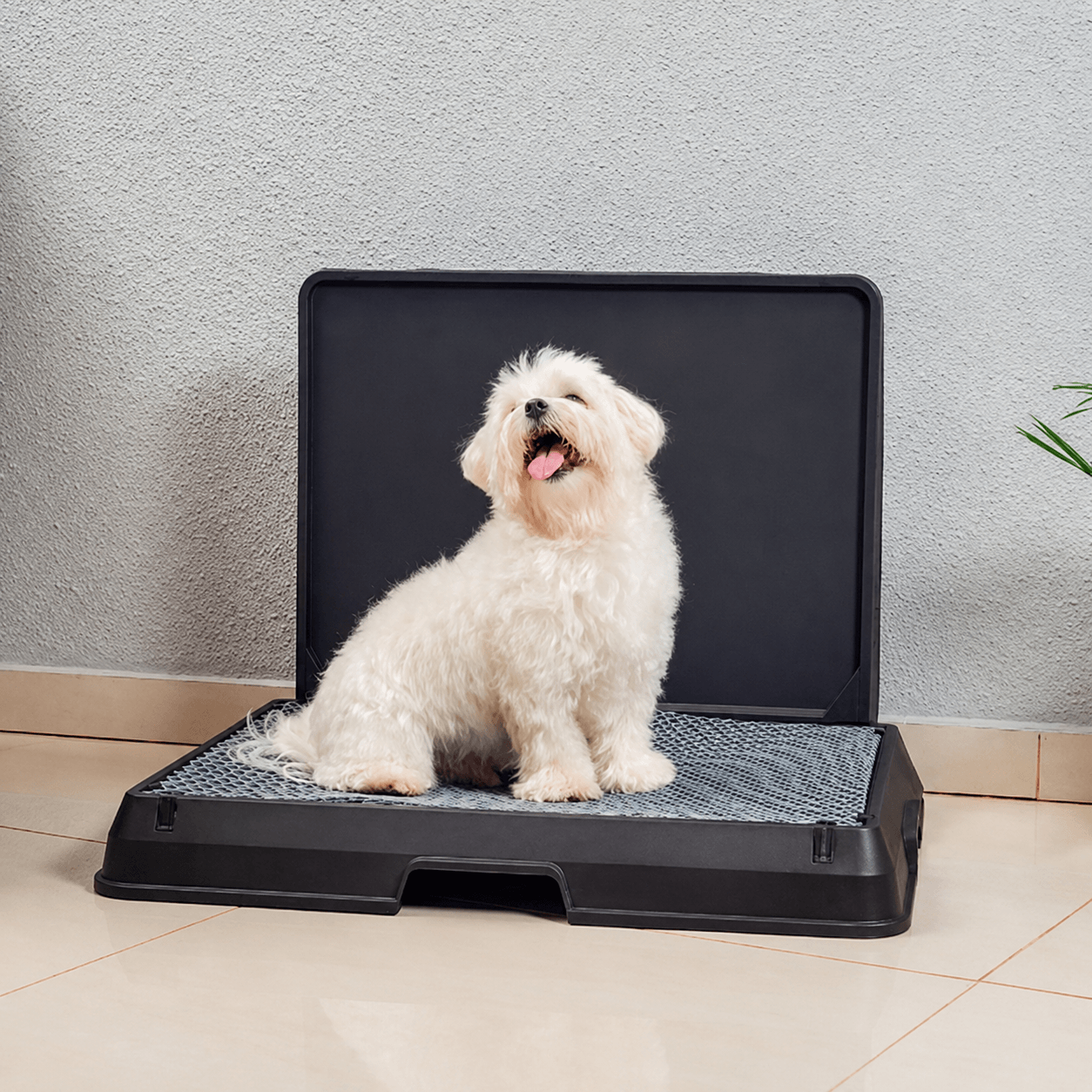 The Smart Potty™ — Indoor Dog Bathroom