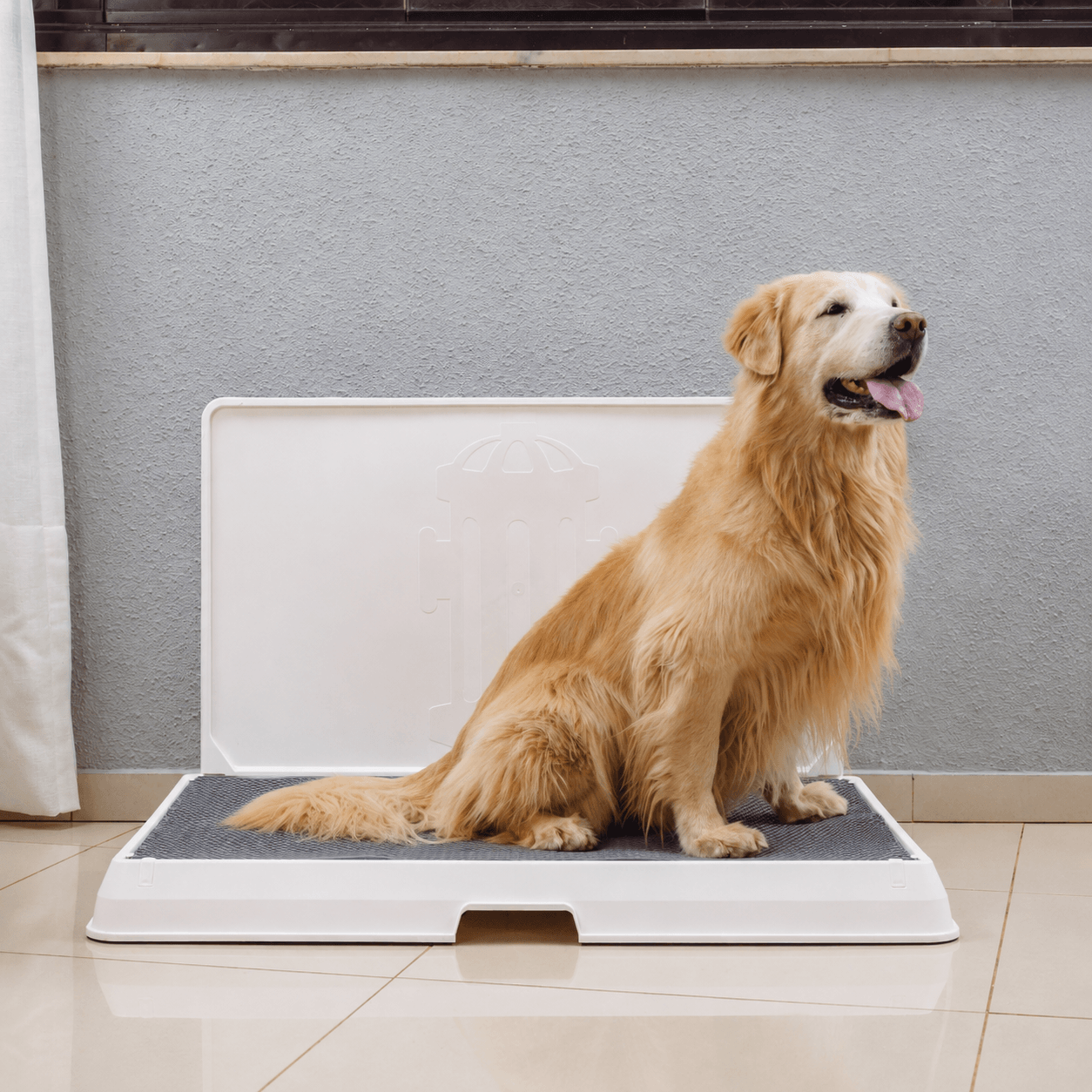 The Smart Potty™ — Indoor Dog Bathroom