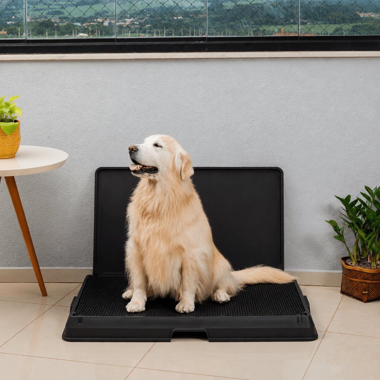 The Smart Potty™ — Indoor Dog Bathroom
