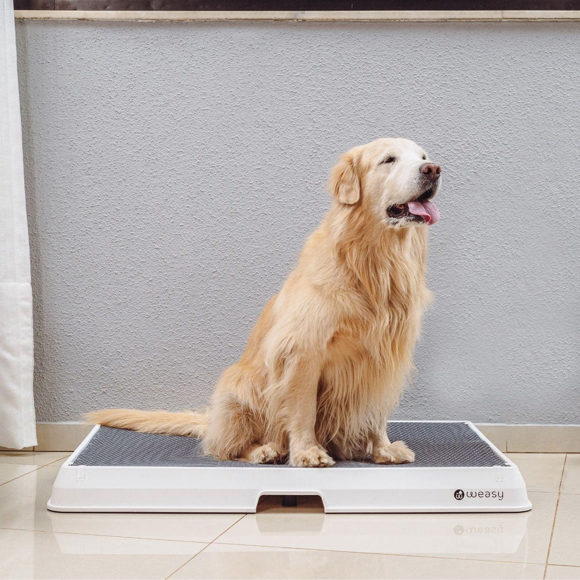 The Smart Potty™ — Indoor Dog Bathroom