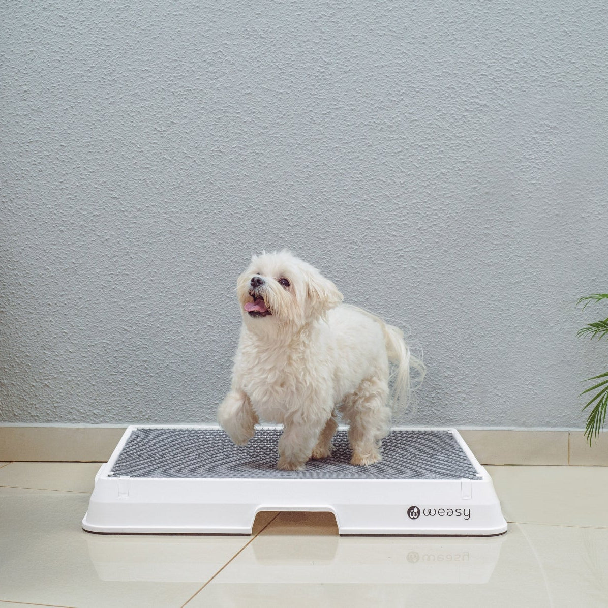 The Smart Potty™ — Indoor Dog Bathroom